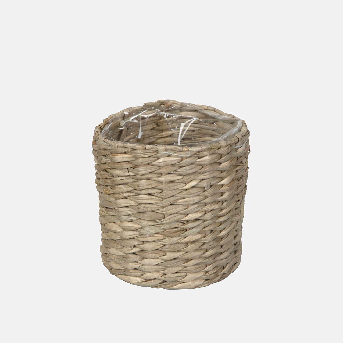 21115001 CACTUS MIMBRE – Image 1