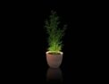 NEON LED FOR PLANT POTS - Imagen 38