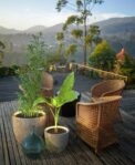 NEON LED FOR PLANT POTS - Imagen 16
