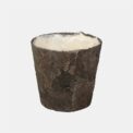 PLANTER ALAMO LEAF