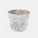 PLANTER BARK