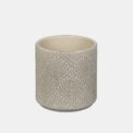 BOX CACTUS KIPLING (18 PCS) - Image 4