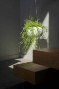 SPLOFY BOWL COLGAR – Image 2