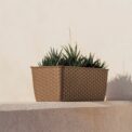 BALCONETTA NATURAL – Image 2