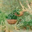 TELA HANGIN - Imagen 3