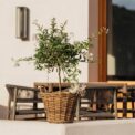 BASKET BAINA – Image 2