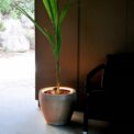 NEON LED FOR PLANT POTS - Imagen 3