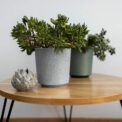 VASO TEXTIL - Image 3