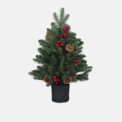 ARBOL BAYA CON MACETERO