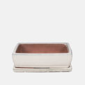 BONSAI KOFUN + PLATO