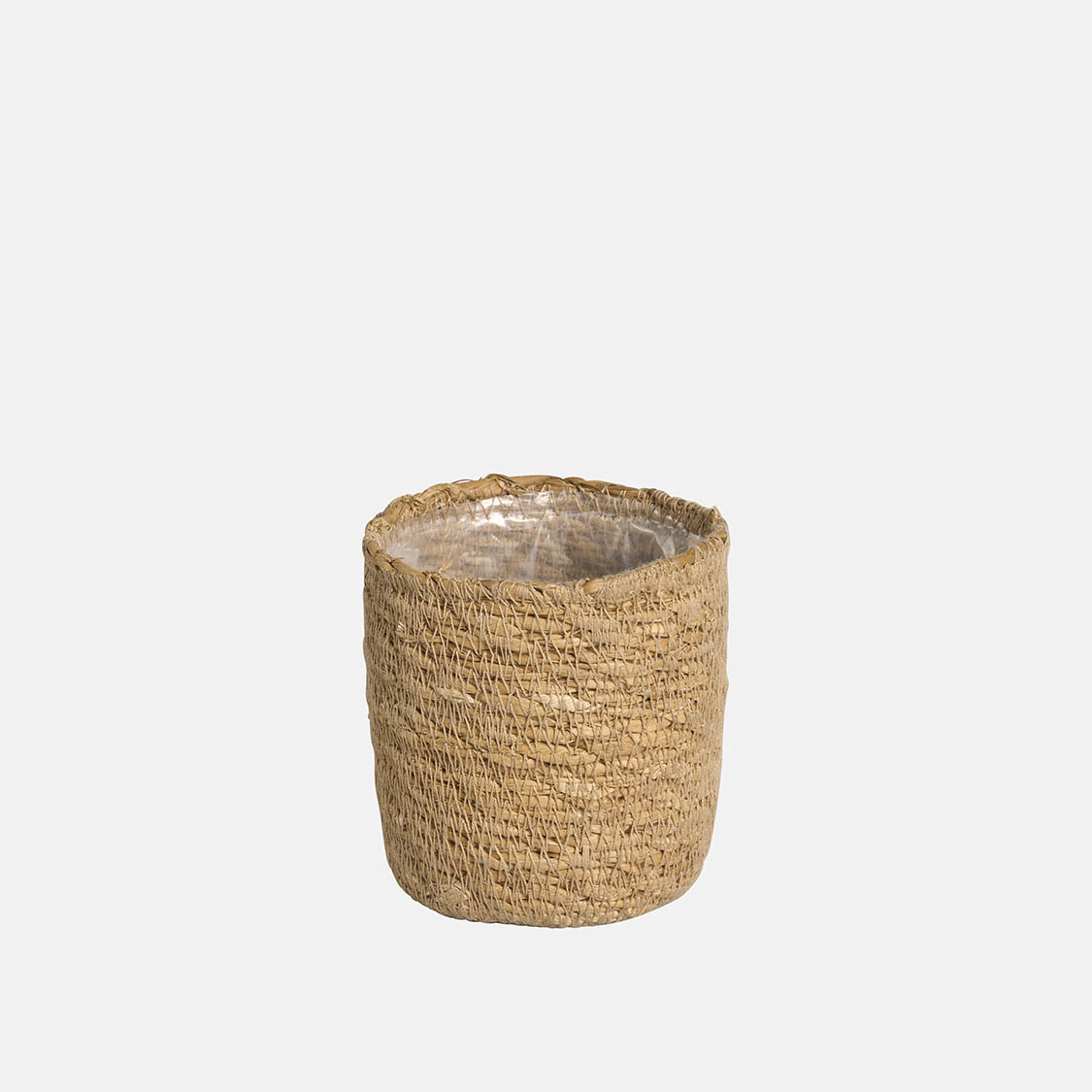 21932009 GAMO CACTUS – Image 1