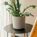 VASO TEXTIL - Image 2