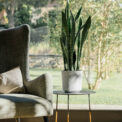 VASO TEXTIL - Image 5