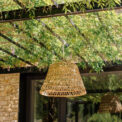 LAMP QUFU – Image 2