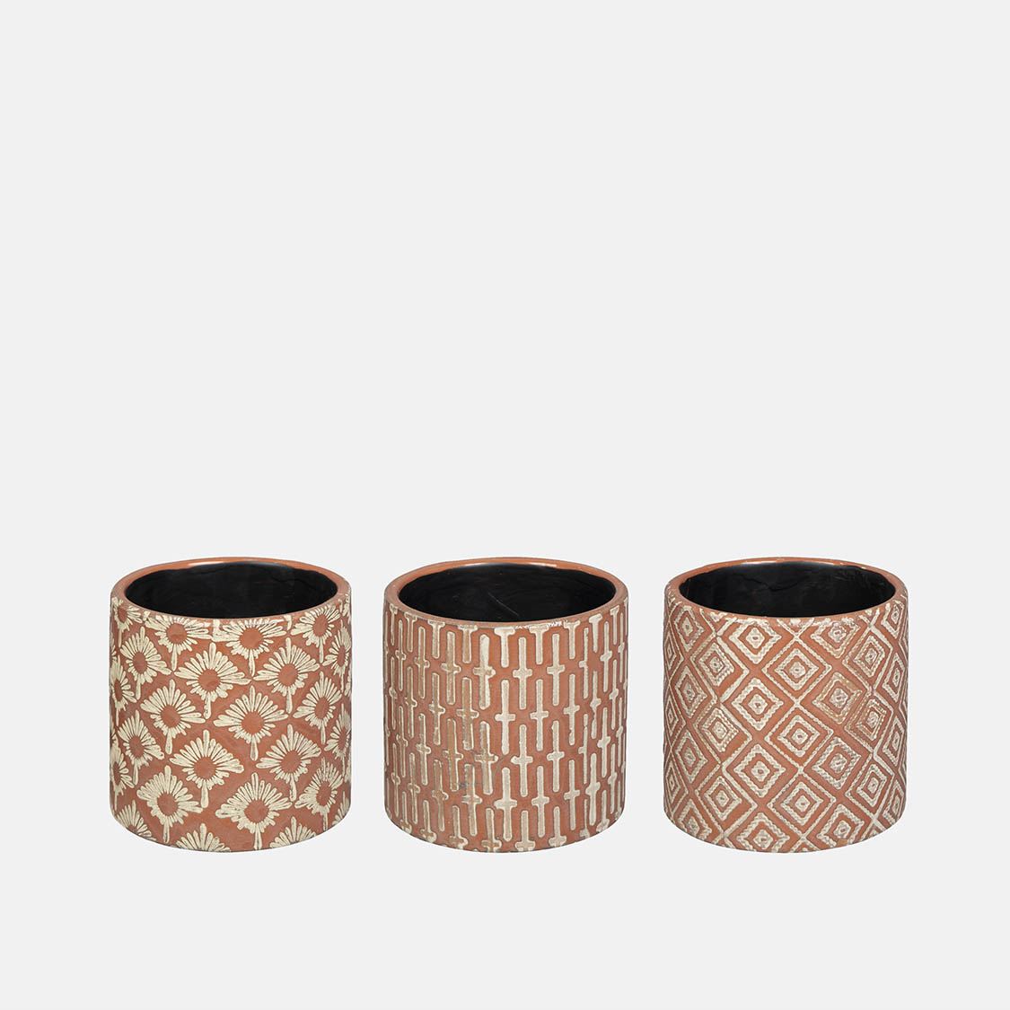 17208002 BOX CACTUS MADISON (12 PCS) – Image 1
