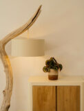 ANDRIA – Image 2