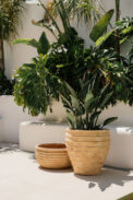 BOWL ANTIC DELTA – Image 2