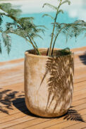 CAMPANA ALTA BANJUL - Image 2