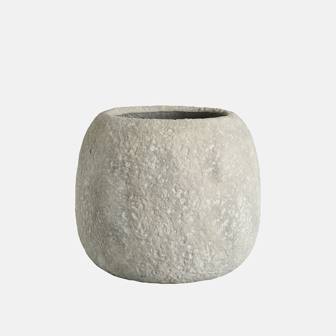 24612055 SAVONA - Image 1