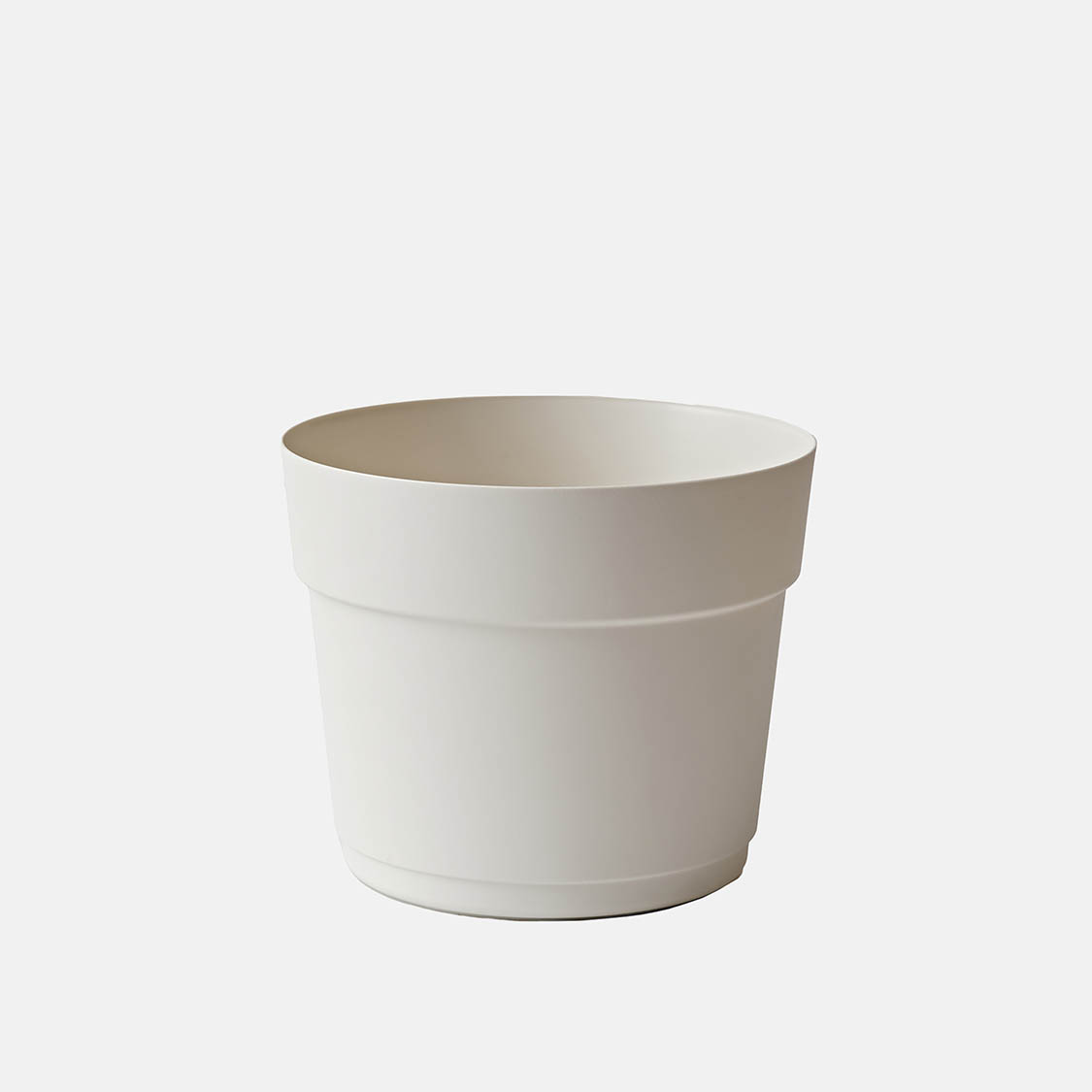 31311338 BLOOM - Image 1