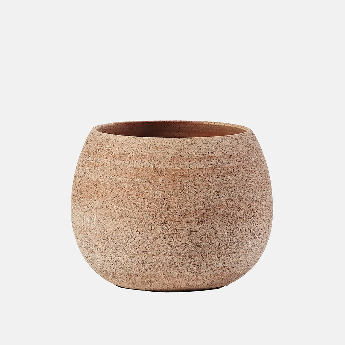 31323038 ERASMO – Image 1